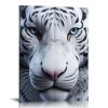 White Wall Art Wild Animal Portrait Picture Wall Decor Blue Eyed Tiger Prints on Canvas Posters Modern Home Decor for Living Room Kids Room Stretched and Framed Artwork